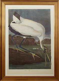 John James Audubon (1785-1851), "Wood Ibis," No. 4