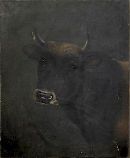 English School, "Head of a Bull," late 19th c., oi