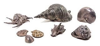 A Collection of Eight Silvered Shells Length of largest 13 1/2 inches.