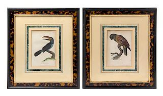 A Pair of English Handcolored Bird Engravings Each: 7 3/4 x 5 1/4 inches.