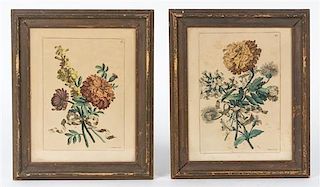 * After Jean Baptiste Monnoyer, , Two Botanical Prints