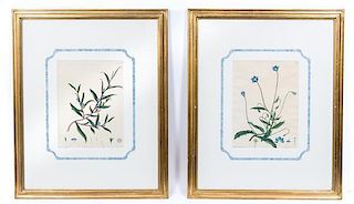 * Two Hand Colored Botanical Prints First 10 x 7 1/2 inches (visible).