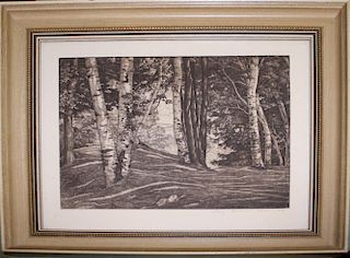 Luigi Lucioni (Vermont 1900-1988) Through the Birches engraving 9 x 10" pencil signed lower right