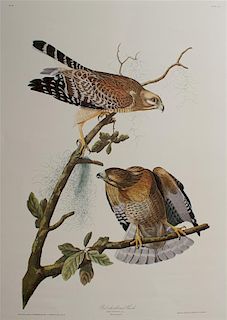 A Pair of Lithographs, After James Audubon, 23 1/2 x 17 inches.