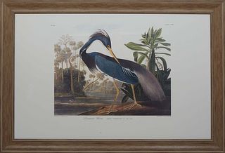 John James Audubon (Haitian/American, 1785-1851), "Louisiana Heron, Ardea Ludoviciana, Wills, Male Adult," 20th c., offset lithograph, No. 44, Plate C