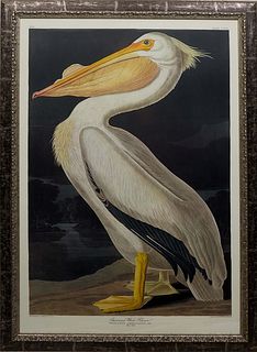 John James Audubon (Haitian/American, 1785-1851), "American White Pelican, Pelicanus Americanus, Male Adult," 21st c., offset lithograph, No. 63, Plat