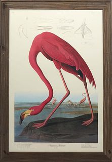 John James Audubon (Haitian/American, 1785-1851), "American Flamingo, Phoenicoptenus Ruber, Linn. Old Male," 20th c., offset lithograph, No. 87, Plate
