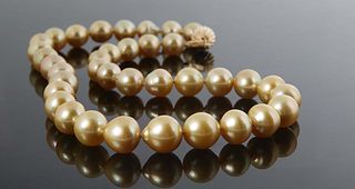 Graduated Strand of Thirty-Seven Golden South Seas Cultured Pearls, ranging from 10-13mm, with a 14K white gold ball clasp, L.- 18 in., with appraisal