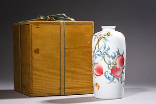 Yongzheng Qing Dynasty: A Fencai Porcelain Vase