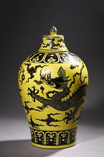 Xuande, Ming Dynasty: A Porcelain Meiping Vase