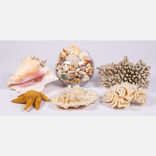 Sea Shells, Coral Specimens and Starfish