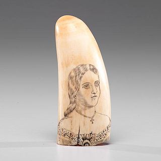 Scrimshaw Whale's Tooth  