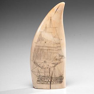 Scrimshaw Whale's Tooth with Ship 