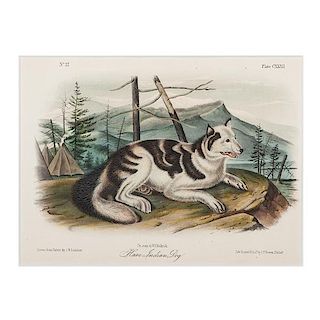 Eight Audubon Hand-Colored Lithographs of Canids from The Viviparous Quadrupeds of North America, Bowen Octavo Edition 