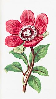 (BOTANY) PRATT, ANNE. The Flowering Plants, Grasses, Sedges, and Ferns of Great Britain. London, n.d. [c. 1870]. 6 vols.