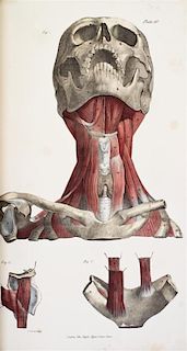 (ANATOMY) QUAIN, J. AND E. WILSON, eds. A Series of Anatomical Plates... London, 1836-1842. 3 (of 5) vols. in one. First edition