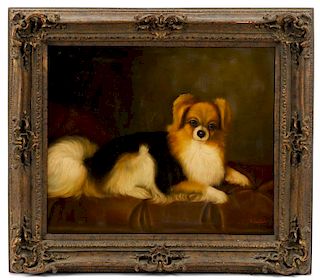 Style Of George Stubbs, Portrait Of Pomeranian