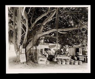 Berenice Abbott, "Miami Fruit Market", 1954