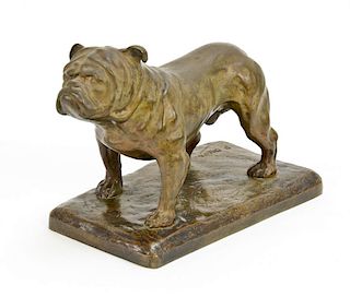 French Bronze Bulldog