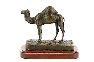 After Antoine L. Barye, Algerian Dromedary Bronze