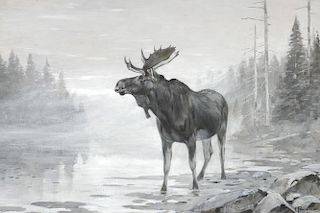 CARL RUNGIUS (1869-1959), Misty Moose