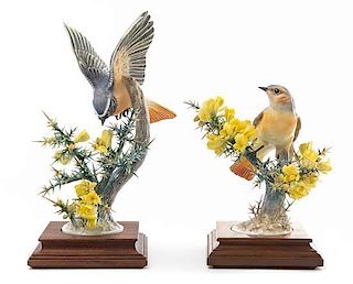 A Pair of Royal Worcester Dorothy Doughty Birds Height of taller 10 3/4 inches.