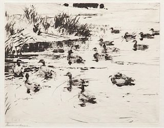 Frank W. Benson (1862-1951) Ducks at Play