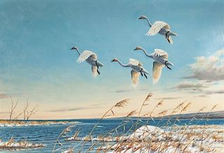Owen J. Gromme (1896-1991) Early Arrival - Tundra Swans