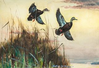 Arthur D. Fuller (1889-1966) Two Black Ducks