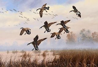 David A. Maass (b. 1929) Morning Descent - Canada Geese