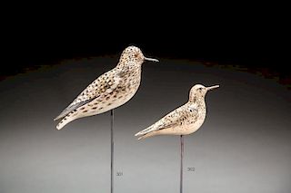 Rare Sanderling by A. Elmer Crowell (1862-1952)