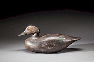 Mackey-Lincoln Black Duck by Joseph W. Lincoln (1859-1938)