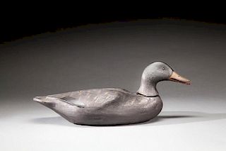 Open-Billed, Rocking-Head Black Duck by Augustus "Gus" Aaron Wilson (1864-1950)