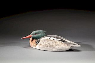 Tucked-Head Red-Breasted Merganser by Roger C. Mitchell (b. 1944)