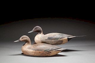 Pintail Pair by Frank S. Finney (b. 1947)