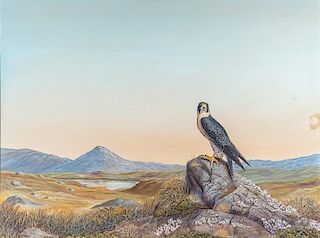 Gerald M. King (b. 1936) Peregrine Falcon