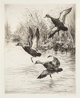 Roland H. Clark (1874-1957) Three Black Ducks