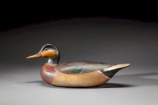 Bemaculated Duck by Mark S. McNair (b. 1950)