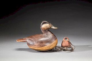 Ruddy Duck by Mark S. McNair (b. 1950)