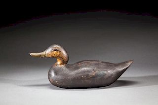 Challenge-Grade Black Duck by Mason Decoy Factory (1896-1924)