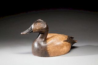 Canvasback Hen by Ferdinand L. Homme (1901-1963)