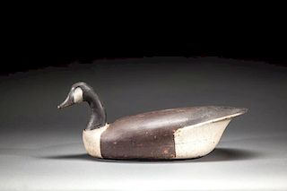 Canada Goose by Lloyd Parker (1858-1921)