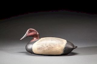 Canvasback Drake by Charles "Cooper" Burkley (1910-1983)