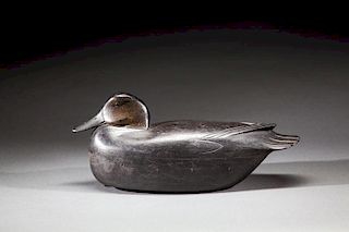 Black Duck by Thomas J. Fitzpatrick (1887-1958)