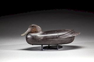 Black Duck by Robert Freirich (1911-1971)
