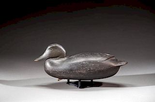 Black Duck by Joseph S. King (1905-1992)