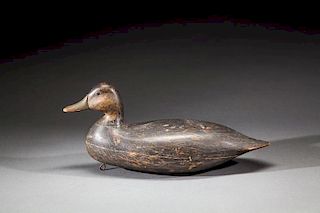 Black Duck by Harry V. Shourds (1861-1920) or Harry M. Shourds (1890-1943)