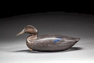 Black Duck by George A. Harvey (1875-1945)