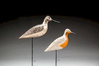 Red Knot by Harry V. Shourds (1861-1920)