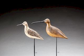 Curlew by Harry V. Shourds (1861-1920)